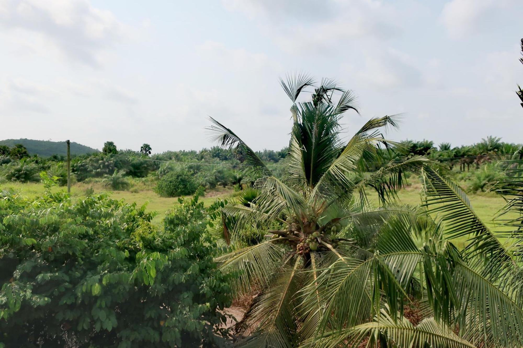 Afro Beach Eco Resort Butre Zimmer foto